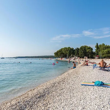 With Fireplace 10 Apartamento *