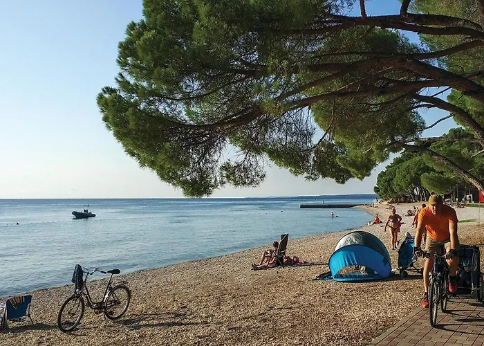 Apartment Vodnjan With Fireplace 10